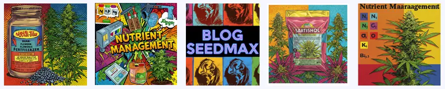 Hnojivo pro pěstování konopí