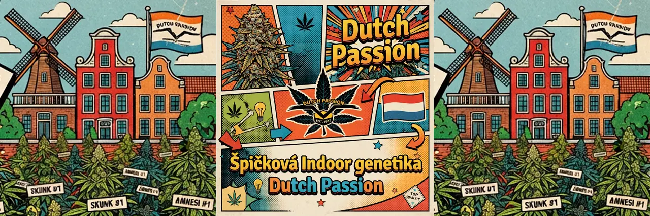 Indoor semena Dutch Passion