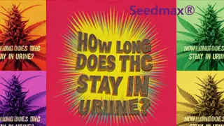 Užívání Marihuany