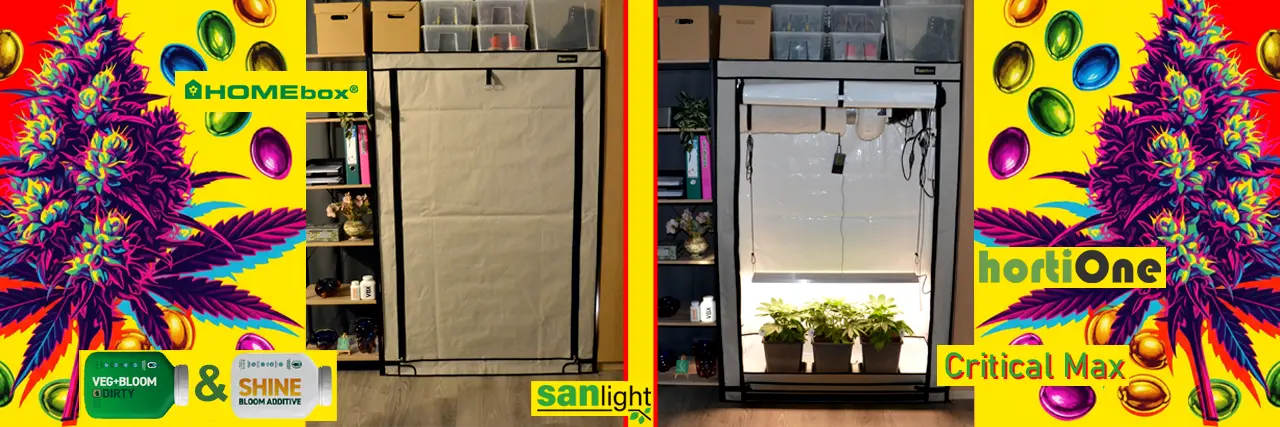 Pěstování konopí indoor v growboxu