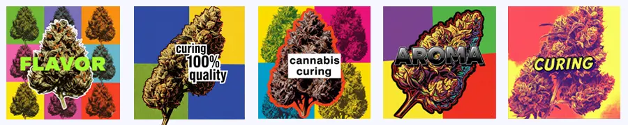 Curing pro kvalitní marihuanu