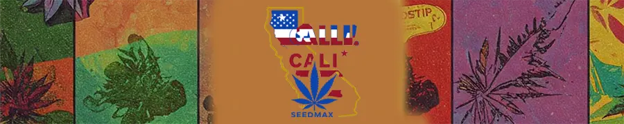 Seedmax Cali Genetics