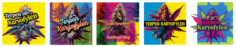 Karyofylen unikátní terpen konopí