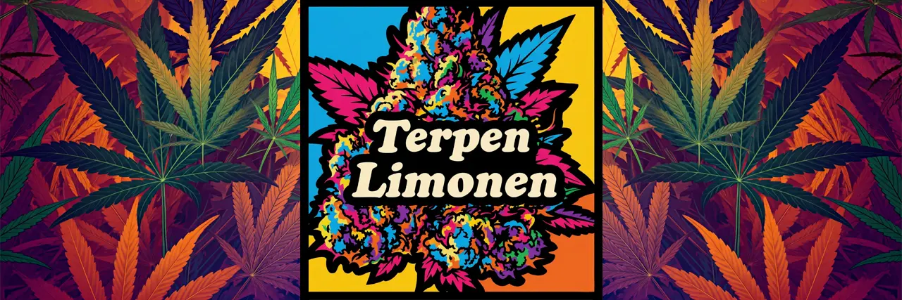 Terpen konopí Limonen