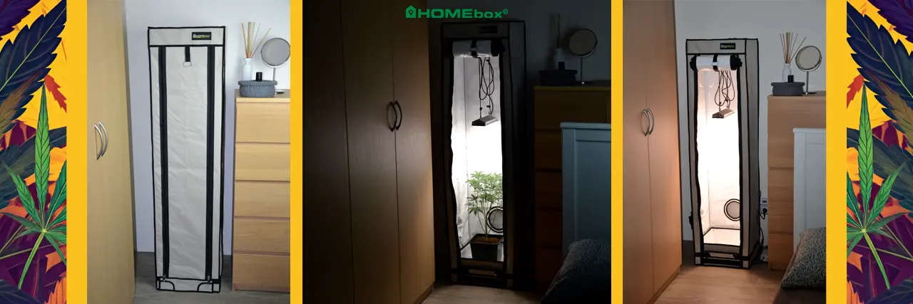 HOMEbox Ambient Q40 – nejlepší mini box pro legální pěstování konopí