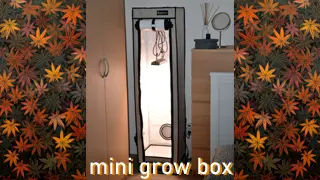 Jak Legálně Pěstovat