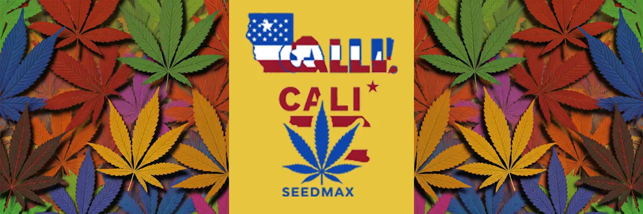 Seedmax Cali Genetics