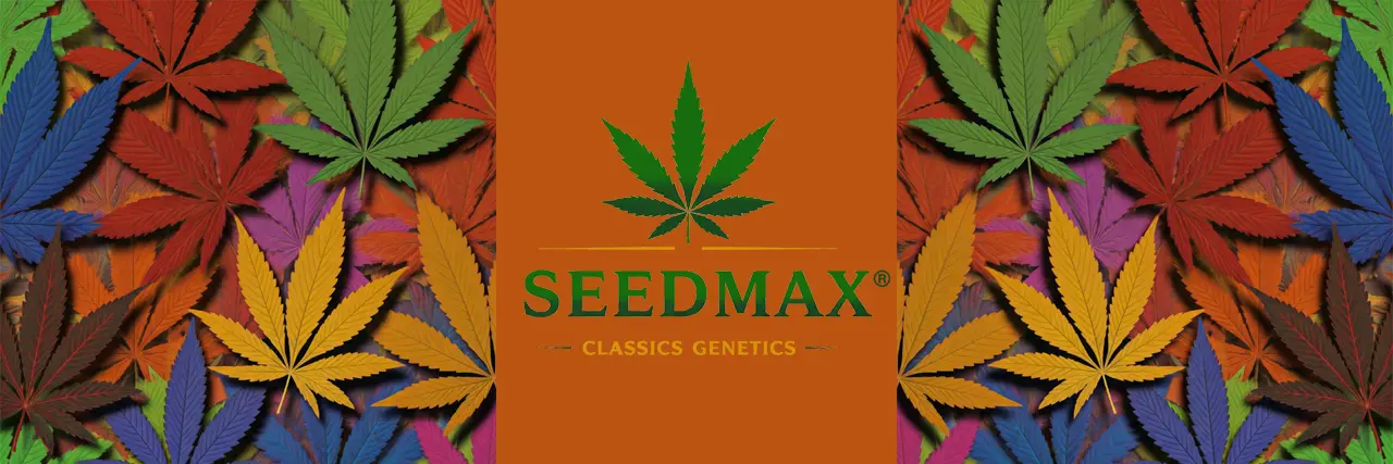 Seedmax Classics Genetics