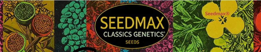 Seedmax classics genetics