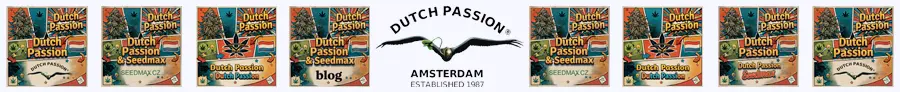 Semínka Dutch Passion