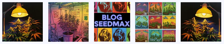 Světelní spektrum pro konopí