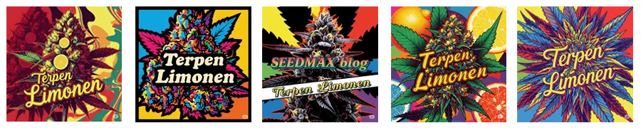 Terpen Limonen v konopí