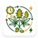 Fotoperiodická Semena