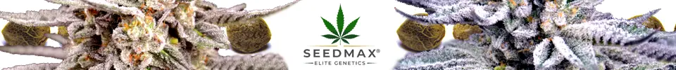 Seedmax Elite Genetics