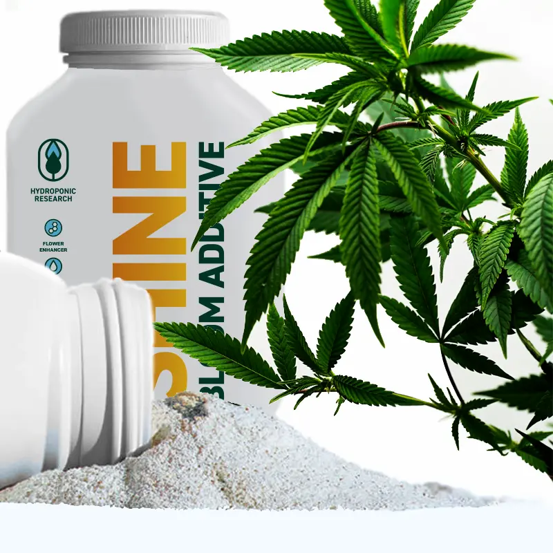 SHINE CLEAN Additive