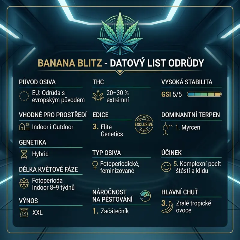 Banana Blitz