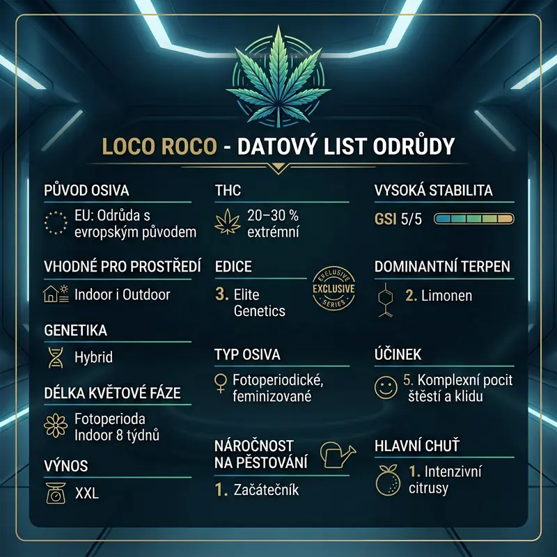 Loco Roco