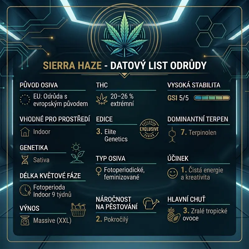 Sierra Haze - 3 semena