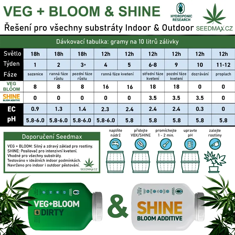 VEG+BLOOM DIRTY