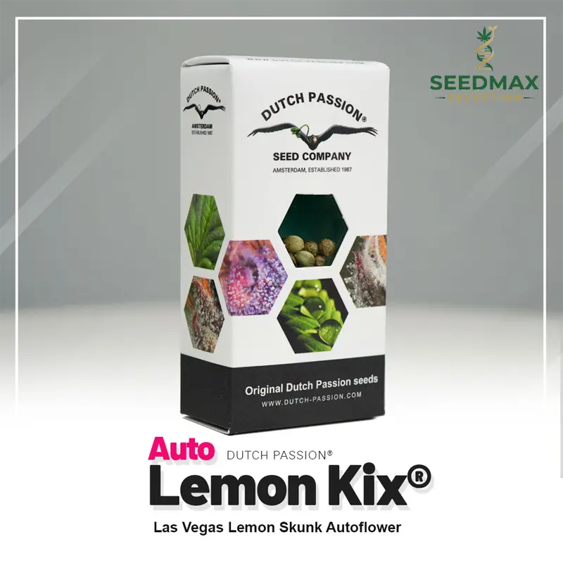 Auto Lemon Kix - 3 semena