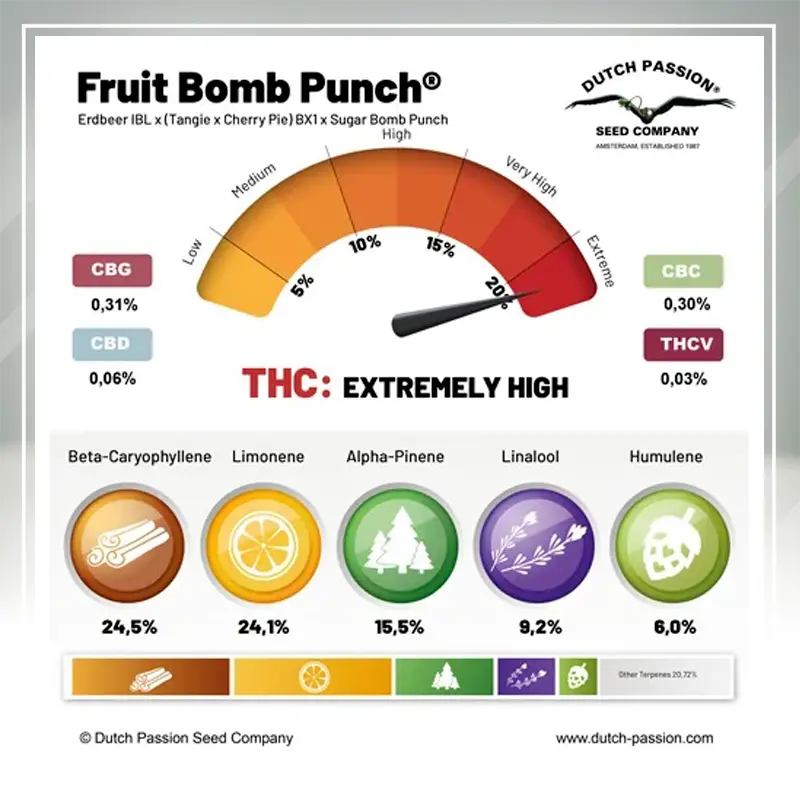 Fruit Bomb Punch - 3 semena