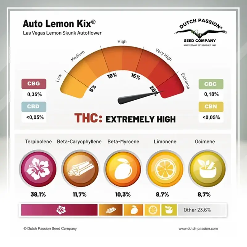 Auto Lemon Kix - 3 semena