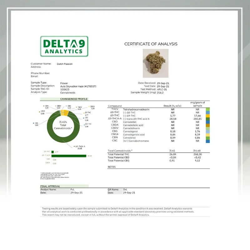Auto Skywalker Haze - 3 semena