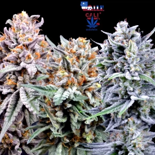 Cali Cream Mix – Akce 2+1