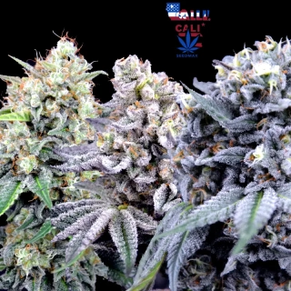 Cali Heavy Mix – Akce 2+1