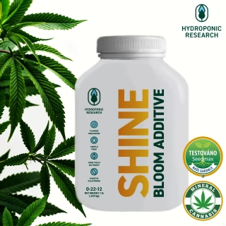 SHINE CLEAN Additive