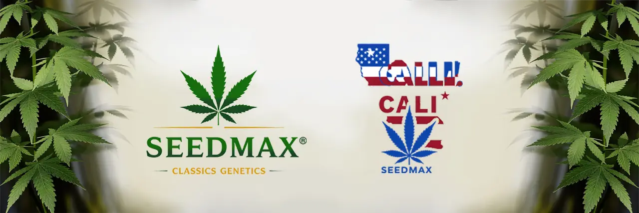 gsi-index-geneticka-stabilita-seedmax-calassics-cali