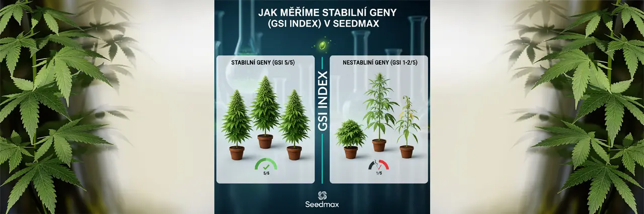 GSI Index Genetická Stabilita Semen Seedmax Graf