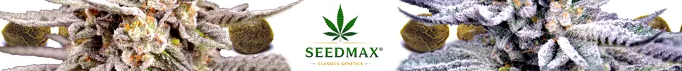 Semena Seedmax Classics Genetics
