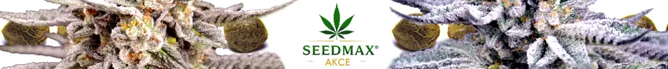 Semena marihuany a konopí akce